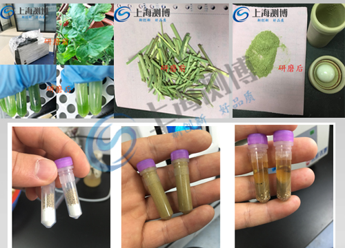 樣品前處理設備12 樣品前處理設備12
